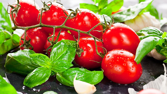 Tomaten - Qualität & Frische